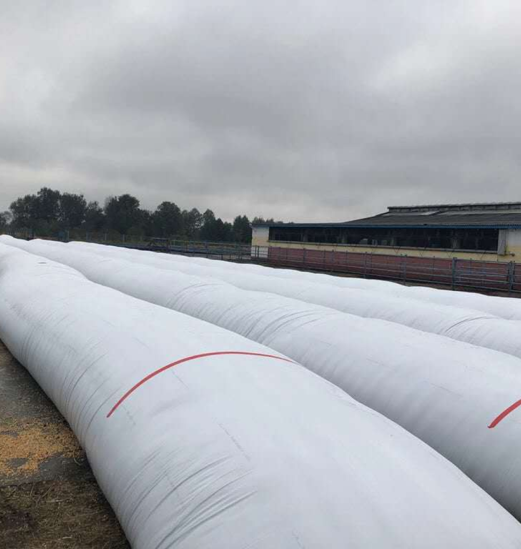 Riki manufacturing facility and agricultural films