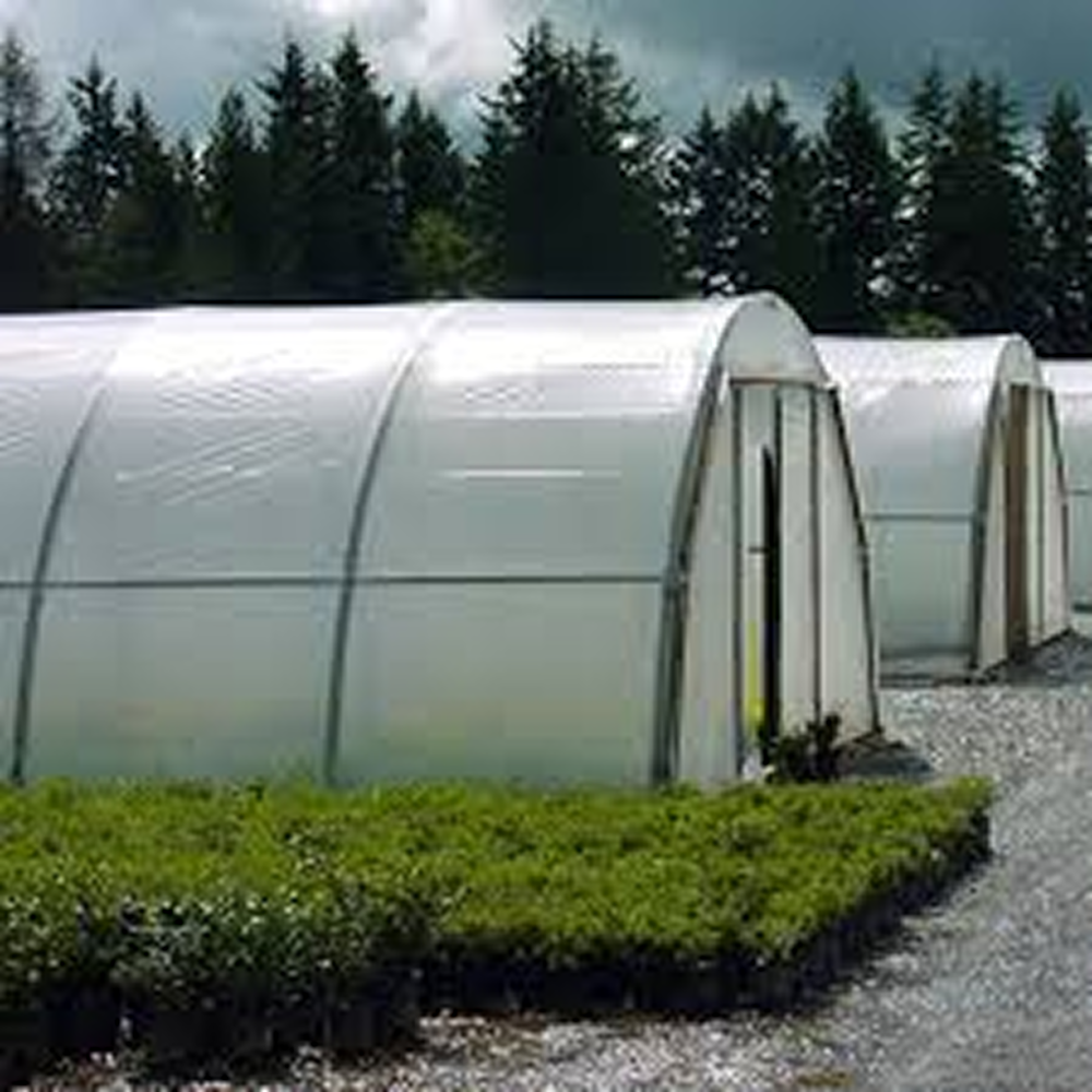 Greenhouse Film