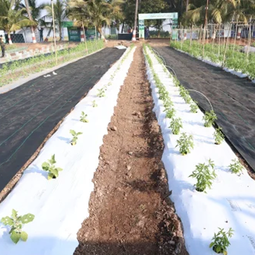 Black and White Mulch Film