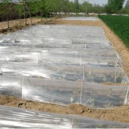 Clear Mulch Film