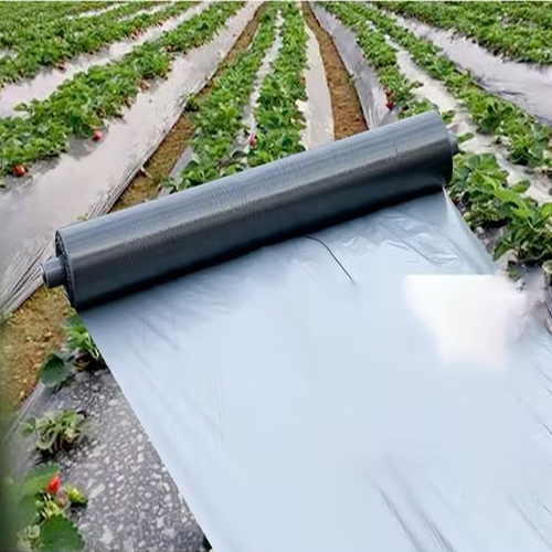 Silver-Black Plastic Mulch Film